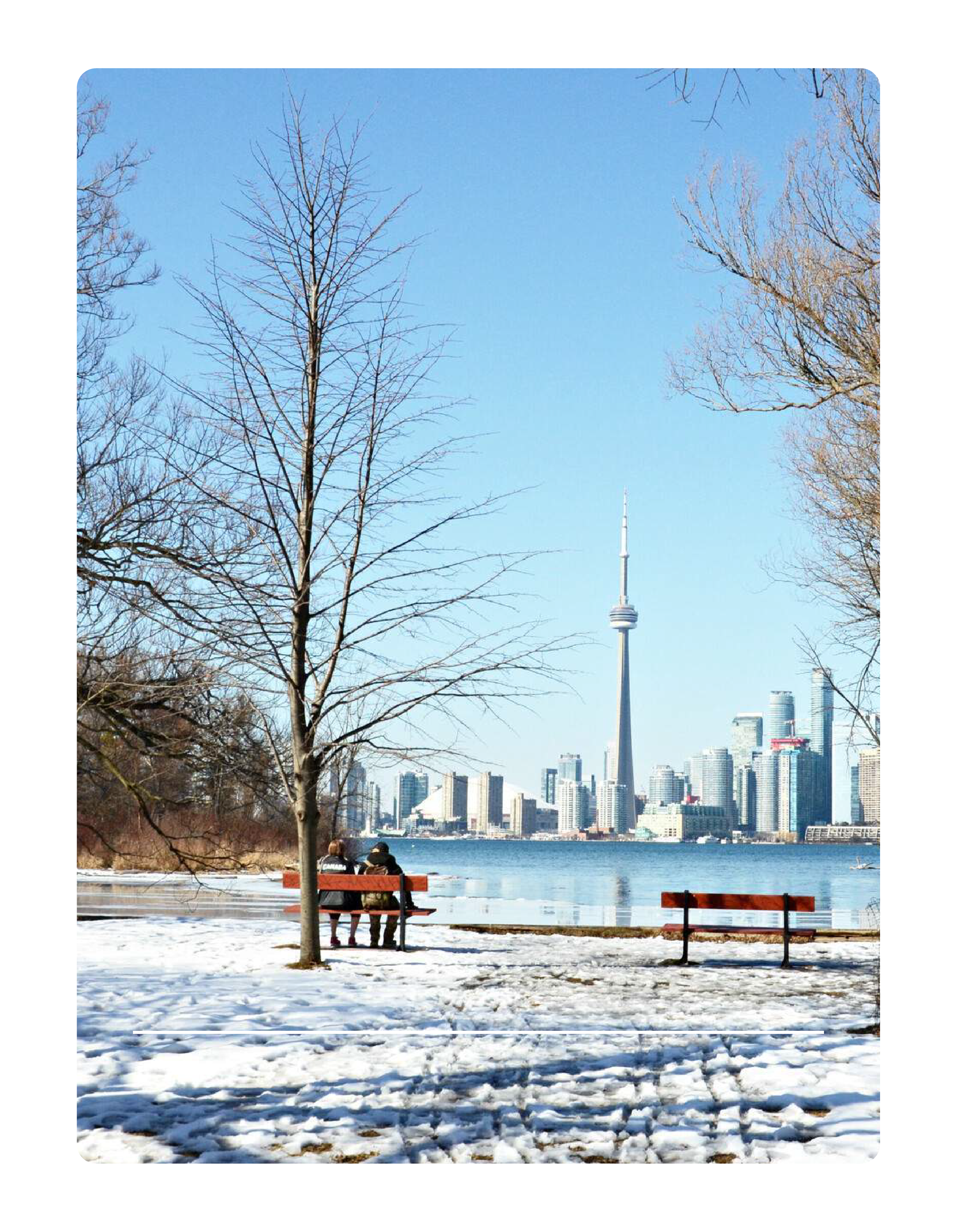 CN Tower View