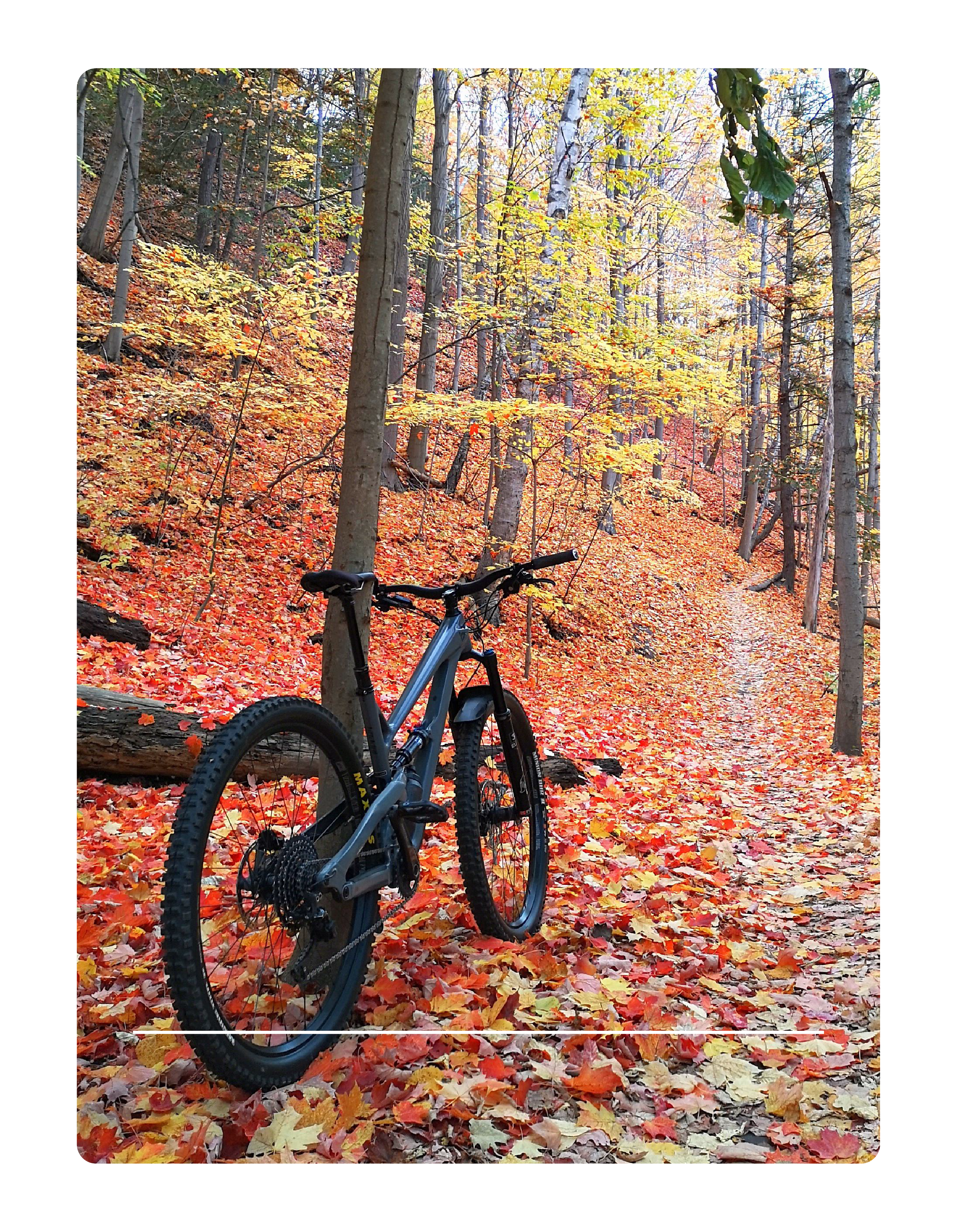 Biking Meetup